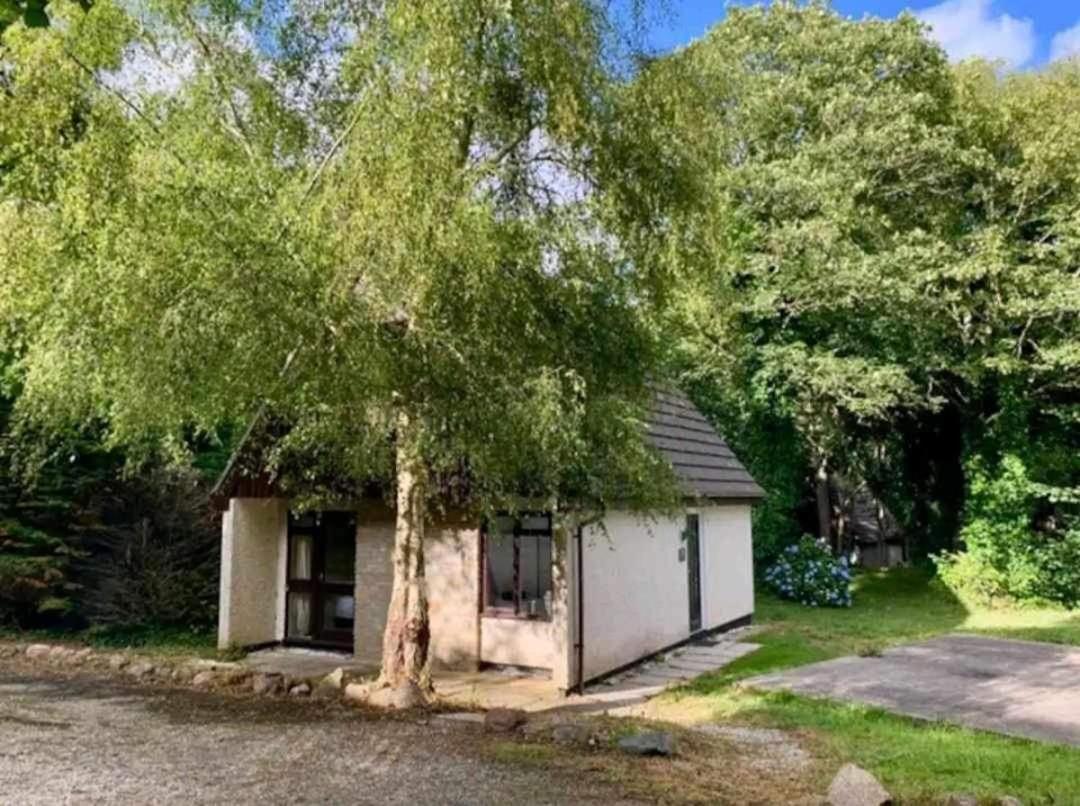 St Ives Bluebell Cottage 外观 照片